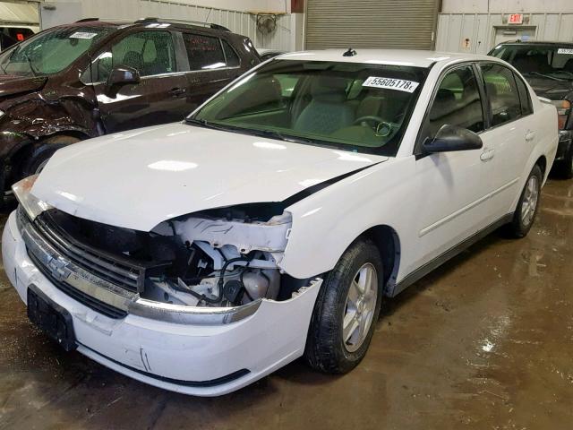 1G1ZT54815F289415 - 2005 CHEVROLET MALIBU LS Ақ фото 2