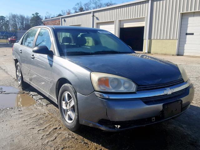 1G1ZT54845F148094 - 2005 CHEVROLET MALIBU LS GRAY photo 1