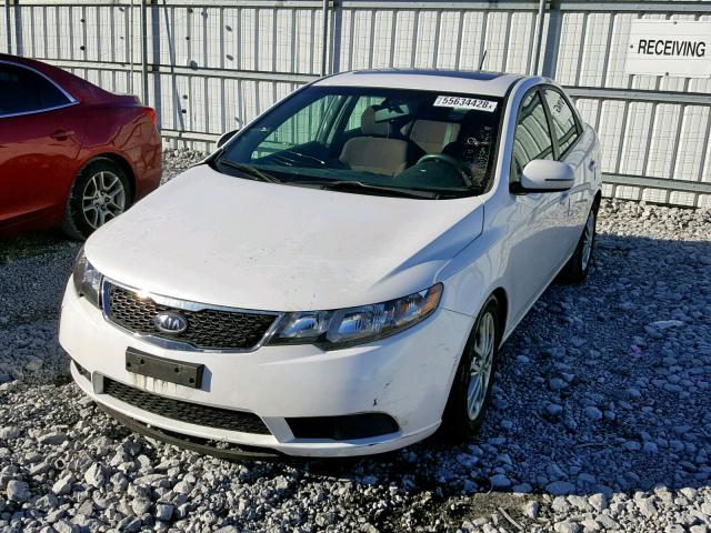 KNAFU4A20B5403520 - 2011 KIA FORTE EX WHITE photo 2