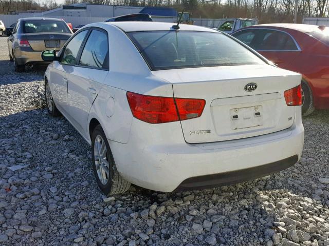 KNAFU4A20B5403520 - 2011 KIA FORTE EX WHITE photo 3