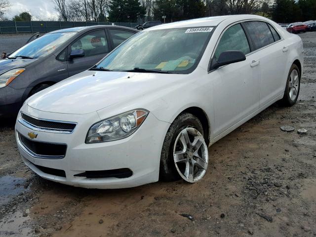 1G1ZB5E0XCF367053 - 2012 CHEVROLET MALIBU LS Ağ foto 2