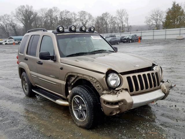 1J4GL38KX2W366393 - 2002 JEEP LIBERTY RE GOLD photo 1