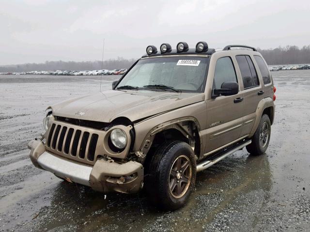 1J4GL38KX2W366393 - 2002 JEEP LIBERTY RE GOLD photo 2