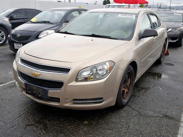 1G1ZG57B39F111362 - 2009 CHEVROLET MALIBU LS თაფლისფერი ფოტო 2