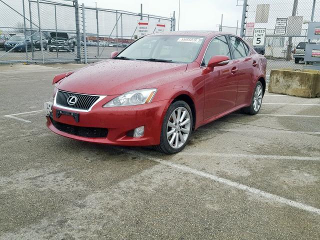 JTHCF5C22A5039911 - 2010 LEXUS IS 250 RED photo 2