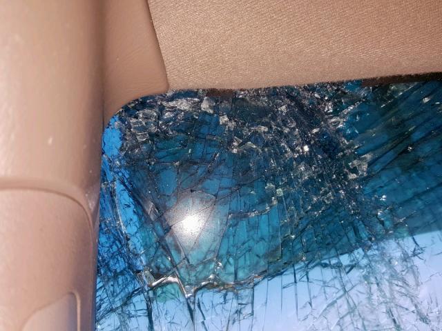 5TBBT44144S453396 - 2004 TOYOTA TUNDRA ACC GOLD photo 8