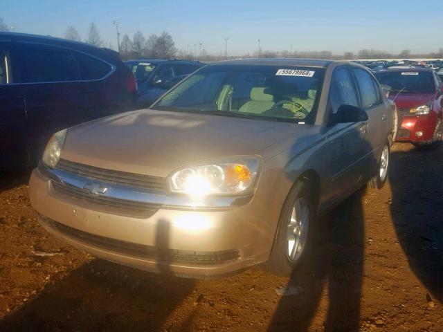 1G1ZT54805F209957 - 2005 CHEVROLET MALIBU LS ოქროსფერი ფოტო 2
