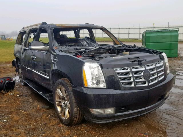 1GYUKJEF3AR239399 - 2010 CADILLAC ESCALADE E BLACK photo 1