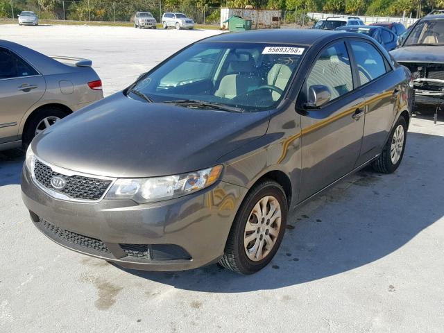 KNAFU4A28B5460273 - 2011 KIA FORTE EX GRAY photo 2