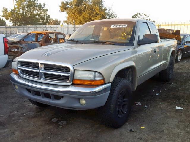 1D7GL42NX3S209458 - 2003 DODGE DAKOTA SLT GOLD photo 2