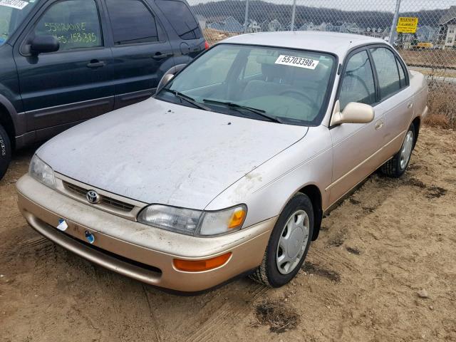 1NXBB02E6TZ431463 - 1996 TOYOTA COROLLA DX TAN photo 2