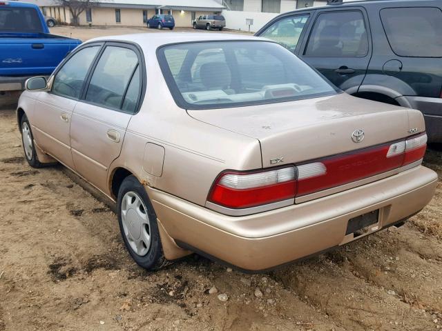 1NXBB02E6TZ431463 - 1996 TOYOTA COROLLA DX TAN photo 3