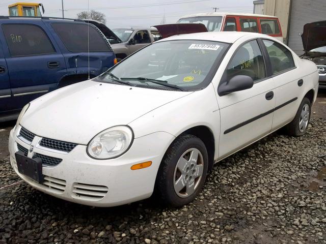 1B3ES26C44D557068 - 2004 DODGE NEON BASE WHITE photo 2