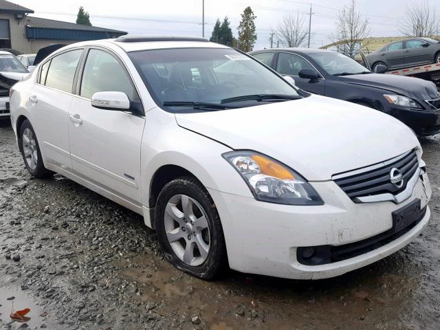 1N4CL21E59C135129 - 2009 NISSAN ALTIMA HYB WHITE photo 1