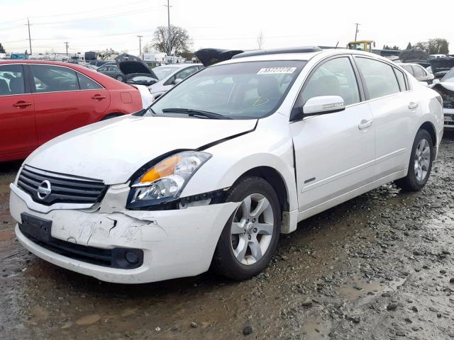 1N4CL21E59C135129 - 2009 NISSAN ALTIMA HYB WHITE photo 2