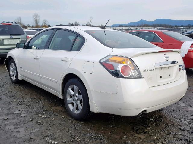 1N4CL21E59C135129 - 2009 NISSAN ALTIMA HYB WHITE photo 3