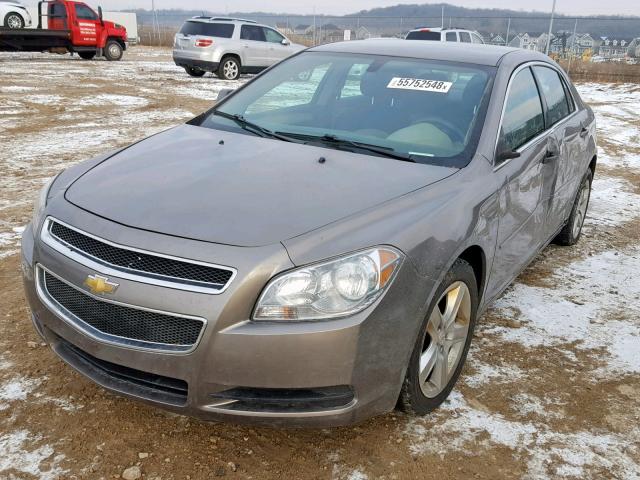 1G1ZA5EU4BF367036 - 2011 CHEVROLET MALIBU LS ბურგუნდია ფოტო 2