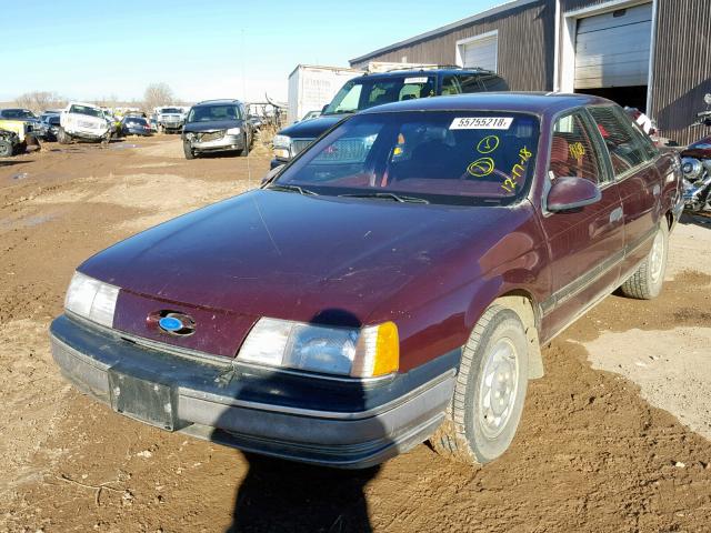 1FACP52U0MG162073 - 1991 FORD TAURUS GL MAROON photo 2