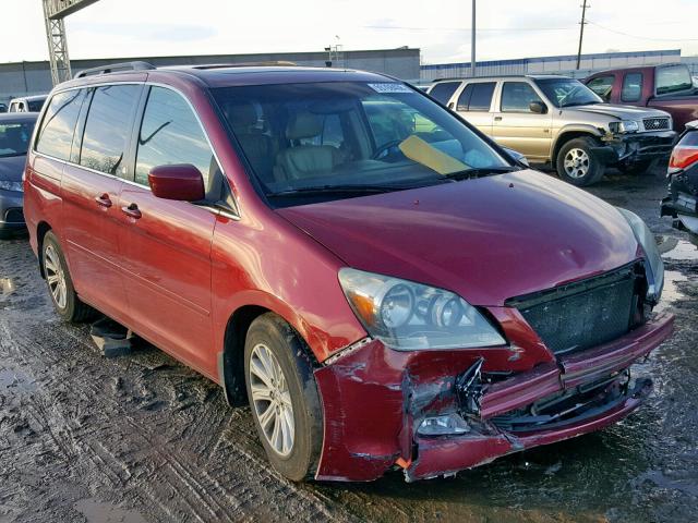 5FNRL38836B003642 - 2006 HONDA ODYSSEY TO MAROON photo 1