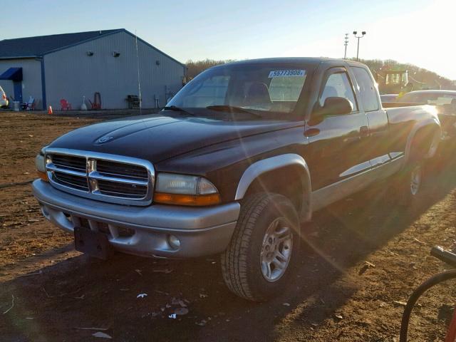 1D7HG42X13S156112 - 2003 DODGE DAKOTA SLT TWO TONE photo 2