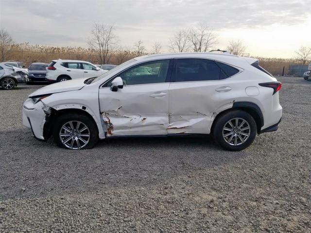 JTJYARBZ4J2097593 - 2018 LEXUS NX 200T 白色 照片 10
