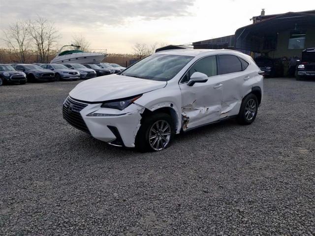 JTJYARBZ4J2097593 - 2018 LEXUS NX 200T 白色 照片 2