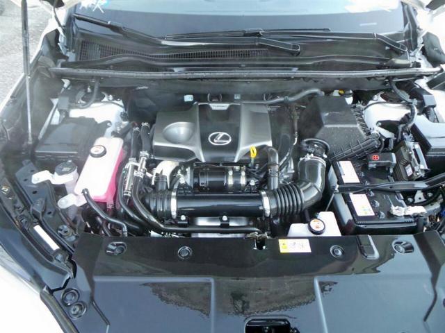 JTJYARBZ4J2097593 - 2018 LEXUS NX 200T 白色 照片 5