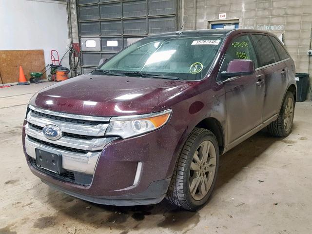 2FMDK4KCXBBA74064 - 2011 FORD EDGE LIMIT MAROON photo 2