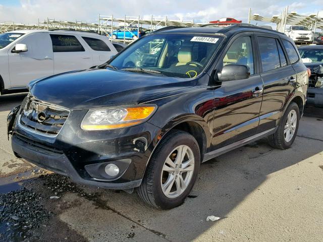 5XYZKDAG8BG086742 - 2011 HYUNDAI SANTA FE L BLACK photo 2