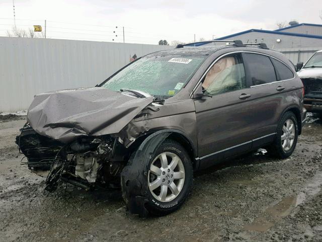 5J6RE48719L038618 - 2009 HONDA CR-V EXL CREAM photo 2