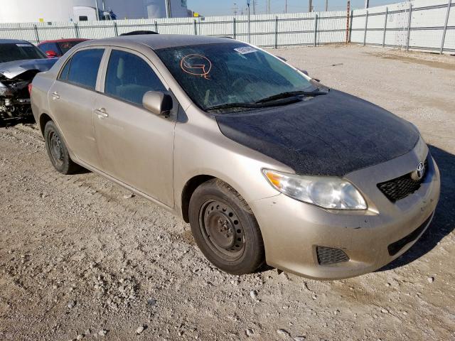 2T1BU4EE7AC531163 - 2010 TOYOTA COROLLA BASE  photo 1