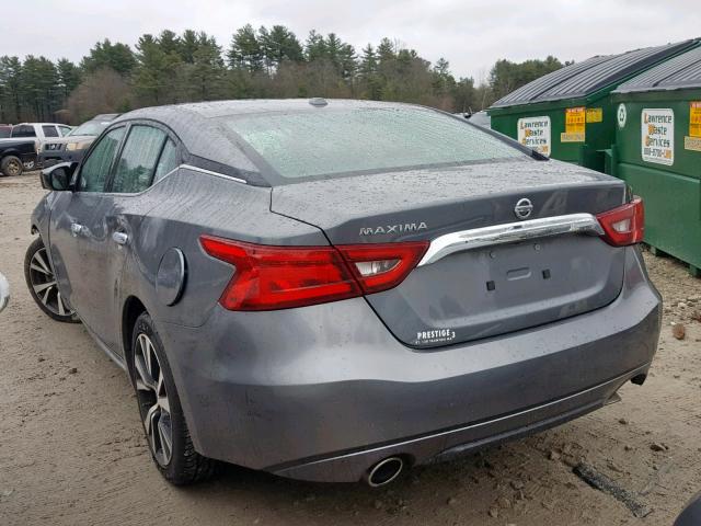 1N4AA6AP5HC363278 - 2017 NISSAN MAXIMA 3.5 GRAY photo 3