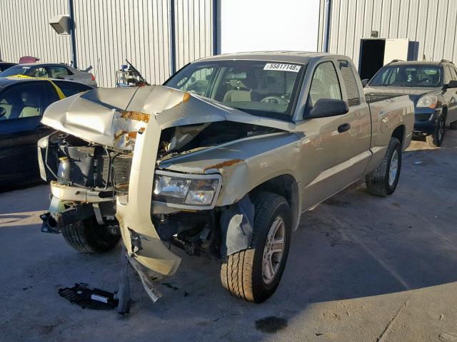 1D7RE3BK3BS661432 - 2011 DODGE DAKOTA SLT GOLD photo 2