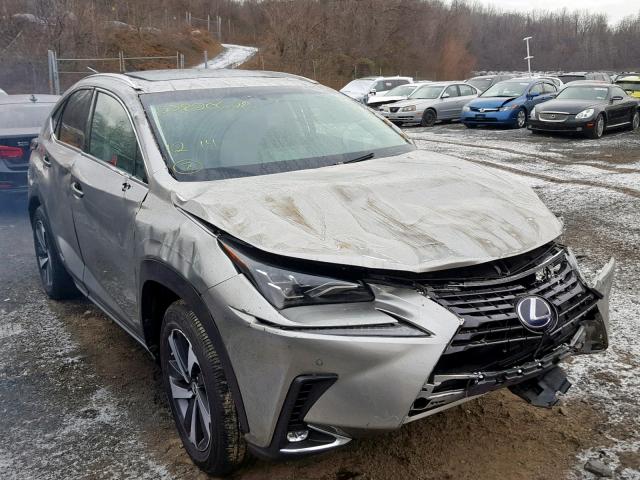 JTJBJRBZ3J2093797 - 2018 LEXUS NX 300H SILVER photo 1