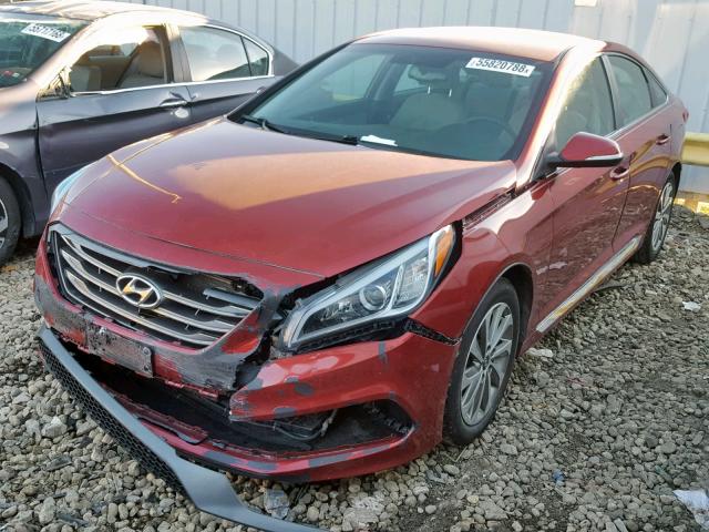 5NPE34AF3FH213110 - 2015 HYUNDAI SONATA SPO RED photo 2