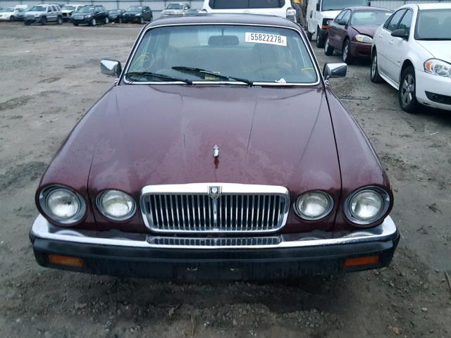 SAJAV1343DC357575 - 1983 JAGUAR XJ6 MAROON photo 9