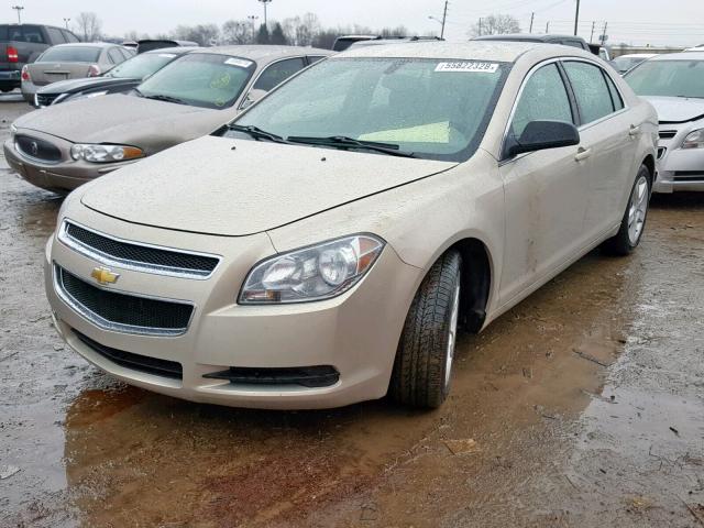 1G1ZB5EB2AF156458 - 2010 CHEVROLET MALIBU LS Beige Foto 2