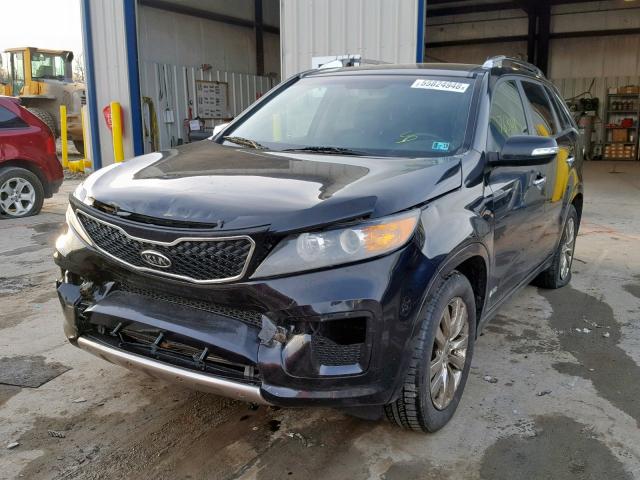 5XYKWDA24BG112182 - 2011 KIA SORENTO SX BLACK photo 2