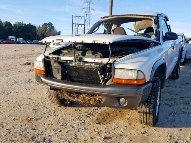 1B7GG12XX2S615818 - 2002 DODGE DAKOTA BAS WHITE photo 2