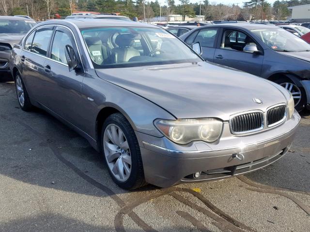 WBAGN63433DR15209 - 2003 BMW 745 LI GRAY photo 1