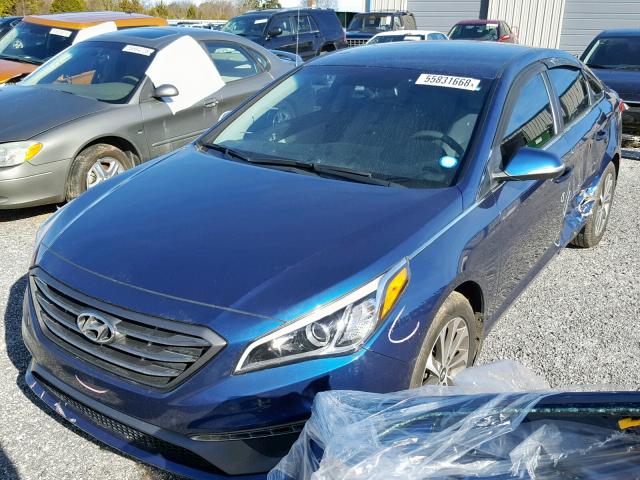 5NPE34AF0FH115040 - 2015 HYUNDAI SONATA SPO BLUE photo 2