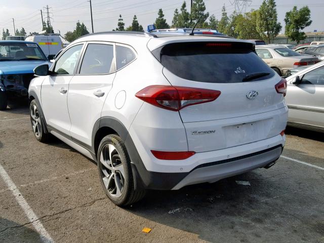 KM8J33A26HU570601 - 2017 HYUNDAI TUCSON LIM WHITE photo 3