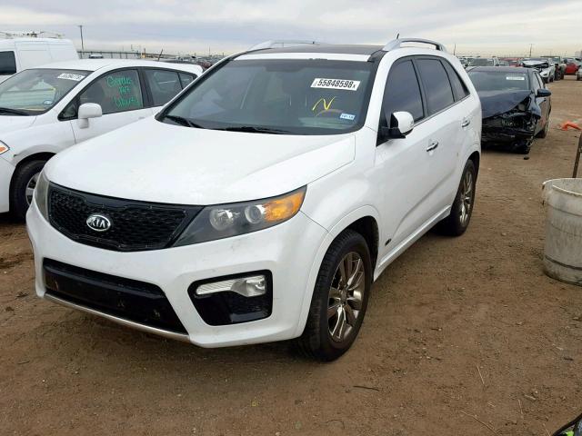 5XYKWDA27BG160940 - 2011 KIA SORENTO SX WHITE photo 2