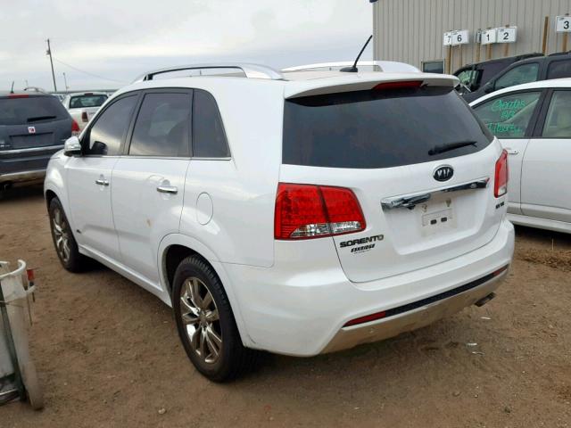 5XYKWDA27BG160940 - 2011 KIA SORENTO SX WHITE photo 3