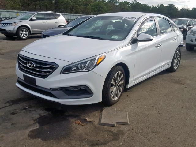 5NPE34AF2FH117825 - 2015 HYUNDAI SONATA SPO WHITE photo 2