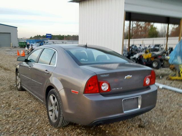 1G1ZC5E1XBF199189 - 2011 CHEVROLET MALIBU 1LT 棕色 照片 3