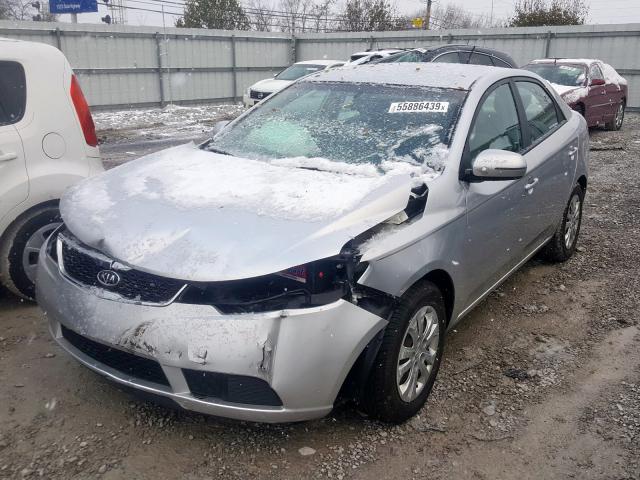 KNAFU4A21C5529452 - 2012 KIA FORTE EX  photo 2