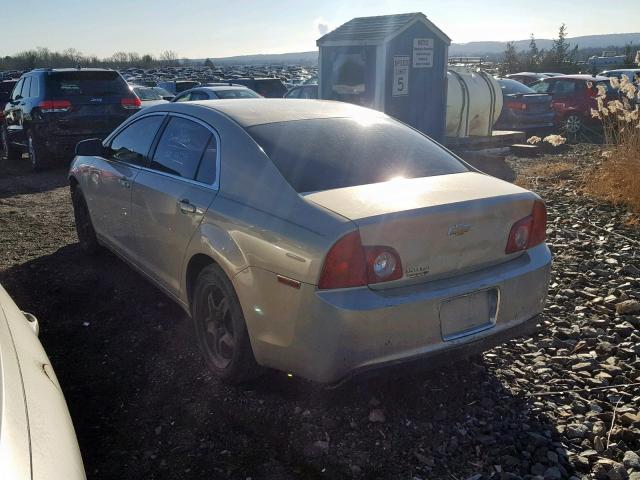 1G1ZA5EBXAF105518 - 2010 CHEVROLET MALIBU LS თაფლისფერი ფოტო 3