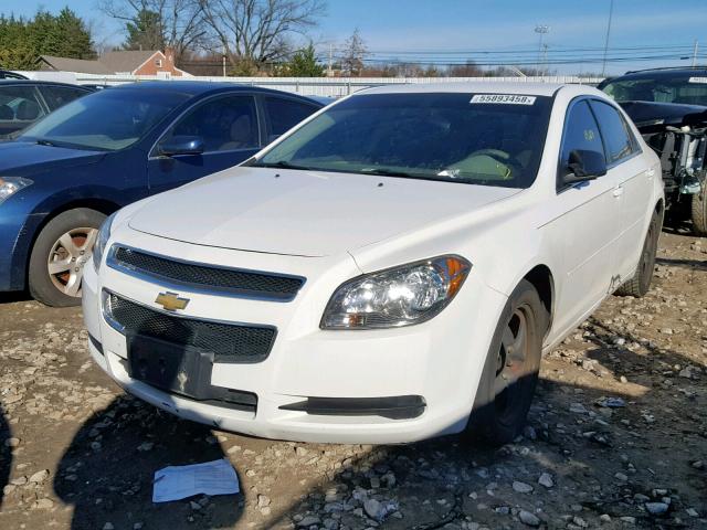 1G1ZA5EU1CF395457 - 2012 CHEVROLET MALIBU LS Ağ foto 2