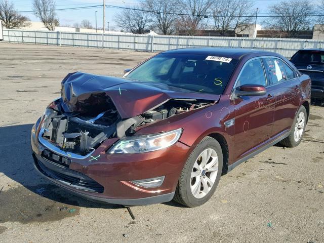 1FAHP2EW3CG128158 - 2012 FORD TAURUS SEL BURGUNDY photo 2